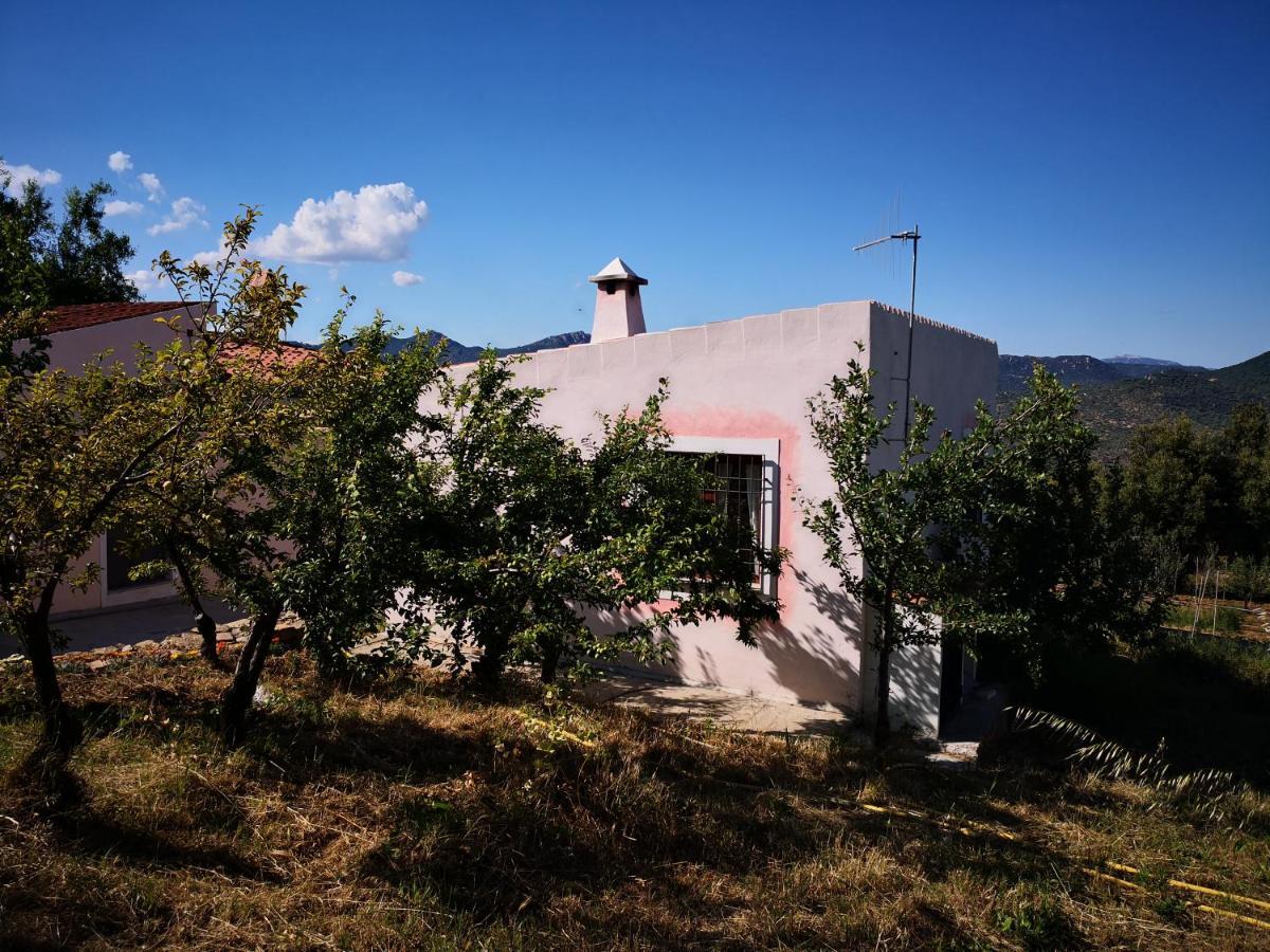 Villa Sa Pruna 오리에나 외부 사진